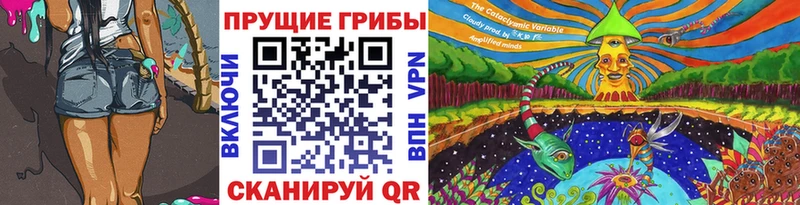 KRAKEN зеркало  Барабинск  Псилоцибиновые грибы GOLDEN TEACHER 